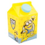 BRIQUE 460ML | UTILISATION QUOTIDIENNE DES MINIONS